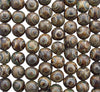 10mm Tibetan Dzi Dyed Natural Agate Gemstone Round Beads - 15 Inch Strand (GEM54) - Beads and Babble