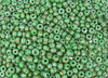 2/0 (6x4mm) Opaque Green Base With Brown Stripes Silver Picasso Czech Glass Seed Beads 20 Grams (2CS113) - Beads and Babble