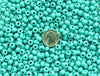2/0 Opaque Turquoise Czech Glass Seed Beads 20 Grams (2CS131) - Beads and Babble