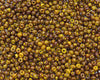 2/0 Opaque Yellow Picasso Czech Glass Seed Beads 20 Grams (2CS121) - Beads and Babble