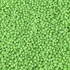 5/0 Opaque Light Green Czech Glass Seed Beads 20 Grams (5CS24) - Beads and Babble