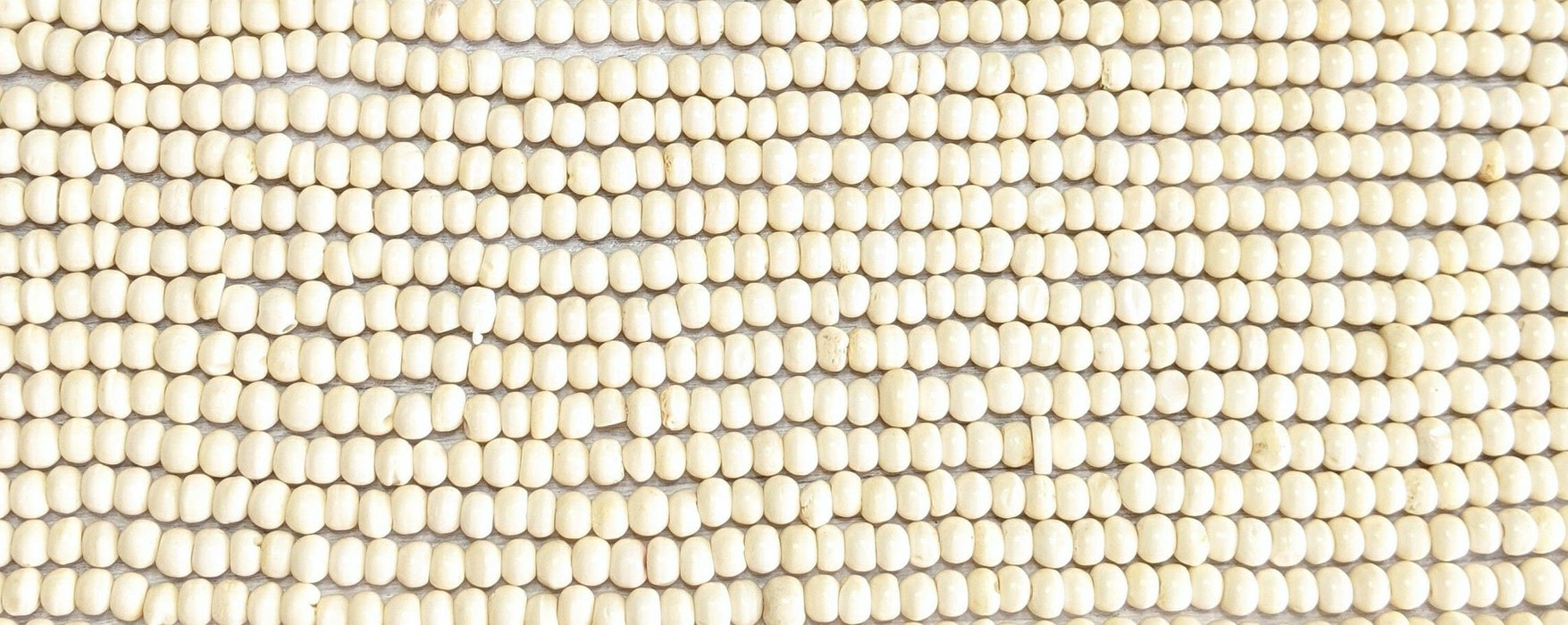 6x4mm Off White Water Buffalo Bone Rondelle Beads - 15 Inch Stand (AW31) - Beads and Babble