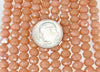 6x5mm Faceted Opaque Apricot Chinese Crystal Rondel Beads 9 Inch Strand (6CCS22) - Beads and Babble