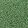 8/0 Aged Matte Opaque Green with Brown Stripes Picasso Czech Glass Seed Beads 10 Grams (8CS109) - Beads and Babble
