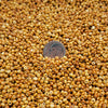 8/0 Opaque Caramel Picasso Czech Glass Seed Beads 10 Grams (8CS) - Beads and BabbleBeads