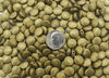 9x4mm (1mm hole) Antique Brass Finish Alloy Metal Coin Beads - Qty 10 (MB154) - Beads and Babble